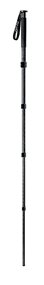Gitzo GM3550 Mountaineer Monopod 